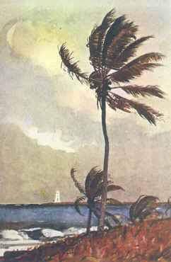 Winslow Homer Palm Tree, Nassau